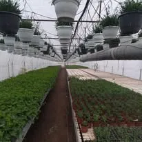 Sistem de încălzire seră profesională